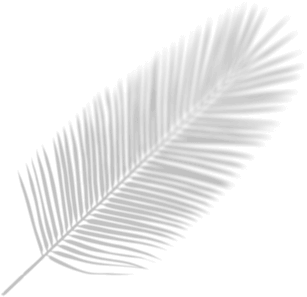 forma de imagem de Um